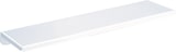 thumbnail of Delabie Ablage Wandmontage 120x450mm Stahl weiß