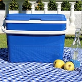 thumbnail of Nevera 42l azul campos.