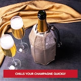 thumbnail of Vacu Vin, aktiver Champagner/ Cava kühler, platinfarben