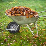 thumbnail of Relaxdays Schubkarrenrad mit Schlauch, 2er Set Ersatzreifen, 3.50-8", luftbereift, für Schubkarre, bis 154 kg, schwarz