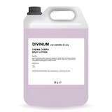 thumbnail of Tanica da 5L contenente Crema Corpo DiVinum, con estratto di uva dalle proprieta' elasticizzanti e anti-age (1 pezzo)