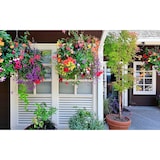 thumbnail of 6 x Blumentopf Hängetopf Pflanztopf Hängetöpfe Blumen Topf Kräutertopf Zink