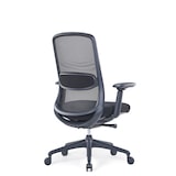 thumbnail of Bureaustoel Ergofy Comfort zwart