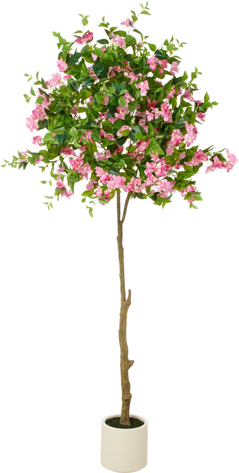 mobile_image