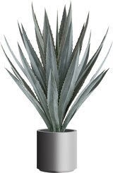thumbnail of CREATIV green künstliche Pflanze Agave tequilana, ca 110cm