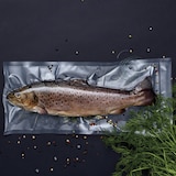 thumbnail of WILFA Vakuumiergerät TROUT, VS-0812B, schwarz