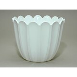 thumbnail of Blumenübertopf Pflanzgefäß Kunststoff Weiß - Stilvoller Blumentopf für kleine Pflanzen, Kräuter - Robustes PVC, 110mm Durchmesser, 95mm Hoch, 1 Stück