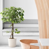 thumbnail of Bonerva | Ficus Deco 120 cm Altura | Planta artificial para decorar interiores: hogares, negocios y hoteles | Sin mantenimiento