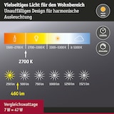 thumbnail of Paulmann Standard 230 V Réflecteur LED GU10   460lm 7W 2700K gradable Blanc dépoli 28752