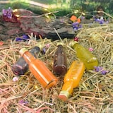 thumbnail of 20 Mini Botellas de Vidrio 40ml Vacías, Mignonettes para Bodas, Regalos, Whisky, Ron, Salsas y Licores Caseros