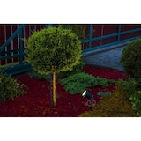 thumbnail of Außenleuchte Gartenstrahler mit Erdspieß HORTUS BLACK IP65 GU10 schwarz EDO777112 EDO