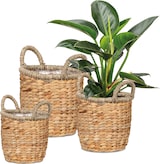 thumbnail of Scheurich Water hyacinth 26, Korbgefäß/Korb-Pflanzgefäß/Korbtopf mit Griffen, Farbe: Nature, 26 cm Durchmesser, 23 cm hoch, 10,6 l Vol.