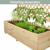 thumbnail of Pflanzkasten mit Rankgitter THIO Inkl. Vlies & Handschuhe, Hochbeet mit Rankhilfe Blumenkasten für Kletterpflanzen hängende Körbe, 128cm Breit