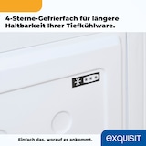 thumbnail of Exquisit Gefriertruhe, Kombigerät, Tiefkühltruhe, 98 Liter, 4-Sterne-Gefrieren, Gefriertruhe klein, Toplader, GT101-E-040E weiss