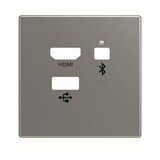 thumbnail of Busch-Jaeger Zentralscheibe 8256-866 2CKA008200A0231