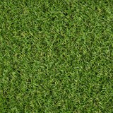 thumbnail of Kunstrasen Marbella - Rasenteppich für Balkon, Terrasse & Garten - Höhe 26 mm, Gewicht 1500 g/m² / 100 x 450 cm