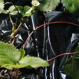 thumbnail of Mulchfolie 1,2x10m, Material aus Polyethylen in schwarz