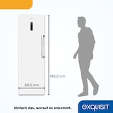 thumbnail of Exquisit Gefrierschrank GS295-NF-H-040D weiss | 274 l Nutzinhalt | NoFrost | Schnellgefrieren | Alarm-Funktion