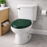 thumbnail of WellHome - Sedile WC in MDF con cerniere in acciaio inox 45x36x5,6 cm, colore Verde Scuro - Asi WC