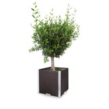 thumbnail of Wilk Rattan-Pflanzgefäß mit Alu-Beschlägen, 46x46x46cm, braun RD02