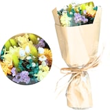 thumbnail of LAYBA Trockenblumenstrauß Bunt