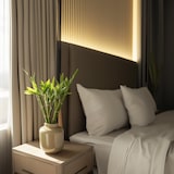 thumbnail of Bambou de la Chance - Dracaena sanderiana Set de 6 Hauteur 40-50cm