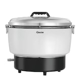 thumbnail of Reiskocher Gas 10l