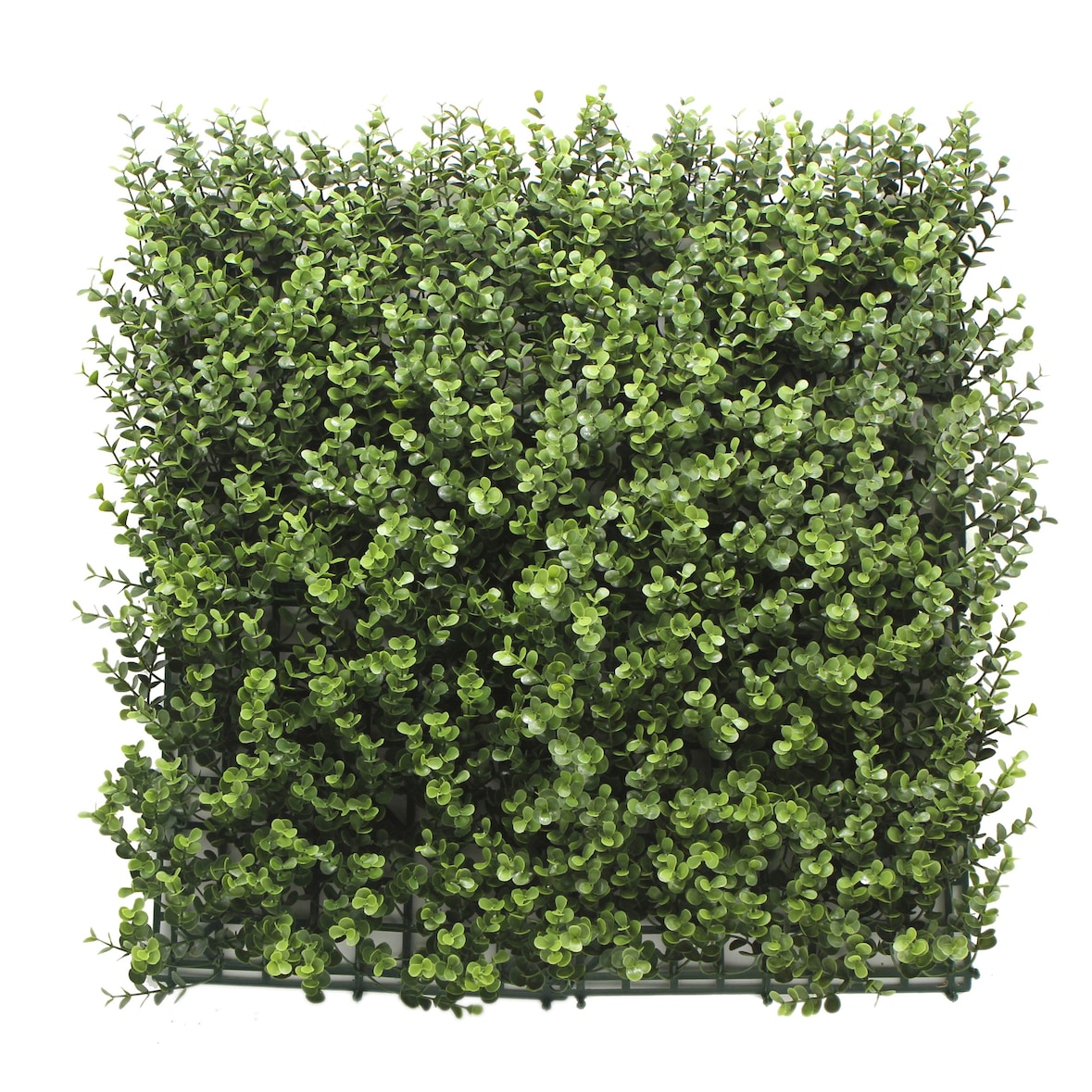 Bonerva | Jardín Vertical Artificial Buxus | Pack 4 Piezas 50x50cm (1m²)| Planta artificial decoración oficina, hotel, restaurante | MAL1202