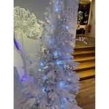 thumbnail of Decoris box 12 sfere argento diametro 60 mm 021831