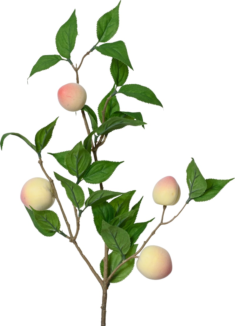 mobile_image