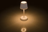 thumbnail of OOTB Rosafarbene Tisch-Lampe mit LED