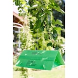 thumbnail of Substral Naturen Obstmaden-Falle Nachrüstset, gegen Apfelwickler