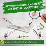 thumbnail of Spinnen Falle mit Spezial-Lockstoff: 6