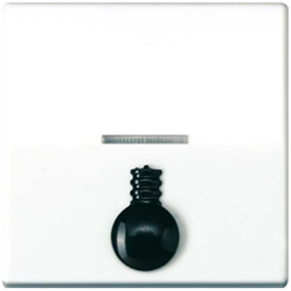 Jung Wippe abt.Sym.LICHT aws AS 591 L1KO5 WW AS591L1KO5WW