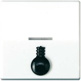 thumbnail of Jung Wippe abt.Sym.LICHT aws AS 591 L1KO5 WW AS591L1KO5WW