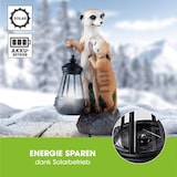 thumbnail of EASYmaxx Solar-Erdmännchen-Familie