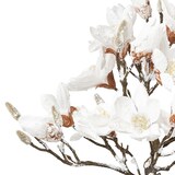 thumbnail of CREATIV green künstliche Pflanze Magnolienbaum beschneit, 58 cm