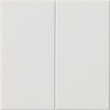 thumbnail of Gira Wippe 2-fach 537003