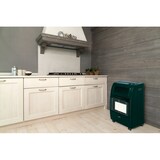 thumbnail of Stufa a gas Argo SOLGREEN Libera installazione GPL Verde