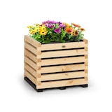 thumbnail of Modu Grow 50 Hochbeet 50 x 45 x 50 cm Kiefernholz kiefer Braun