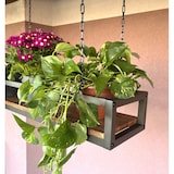 thumbnail of FLOWERS 95 cm MARRON Étagère FLEURS suspendue au plafond, longueur 95 cm avec chaînes pour fleurs jardin vertical par Yelloo