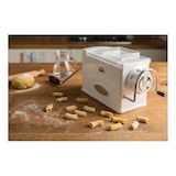 thumbnail of Marcato Regina macchina pasta, con 5 trafile in metallo con taglia pasta