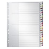 thumbnail of Leitz 1278-00-00 1278 Register - PP, blanko, A4, 20 Blatt, grau