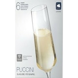 thumbnail of LEONARDO Sektglas PUCCINI, 280 ml, 6er-Set