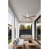 thumbnail of TYPHOON M LED LED Ventilatore bianca/legno