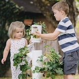 thumbnail of Gusta Garden Sissi Strawberry Classic Draußen Vertikale Pflanzmaschine Freistehend Polypropylen (PP) Weiß