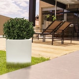 thumbnail of WellHome - Pflanztopf 50x50 cm Top Garden DANI in Weiß