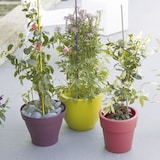 thumbnail of Tutor acero plastificado  TUT.STEEL PLAST Ø11mmx1,2m VERDE