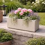 thumbnail of WellHome - Blumentopf aus Rotationsgeformtes Polyethylen 58L 80x38x36cm in farbe Sandweiß - Coro Case