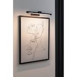 thumbnail of Paulmann LED Bilderleuchte Mingo   3000K 510lm 230V 9,5W  Schwarz 95564